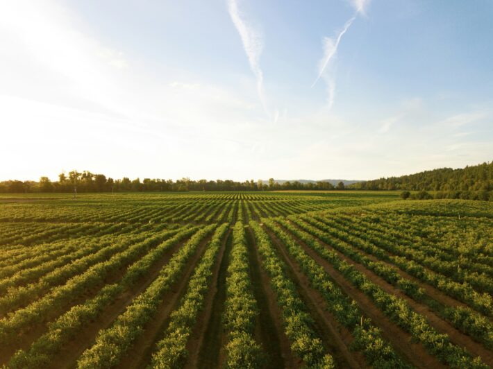 Agri 2000: gestione delle operazioni sul campo